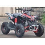 miniatv-miniquad-quad-renegade-49cc-easy-start-ruote-6-carburatore-14mm (1)